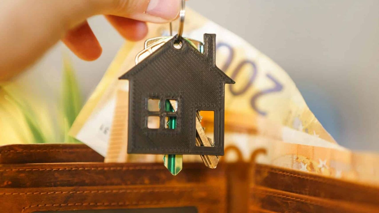 pexels-jakubzerdzicki-30349323